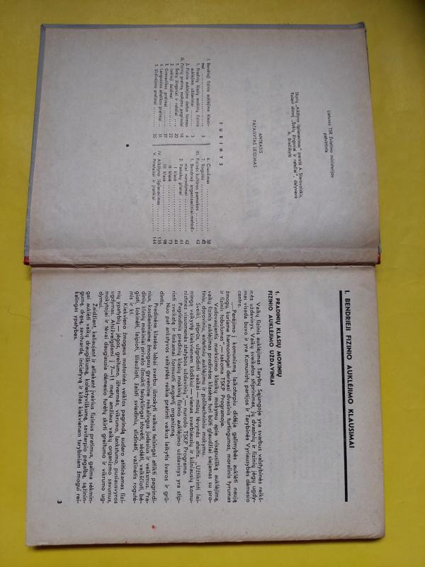 Fizinis auklėjimas pradinėse klasėse - V. Stakonienė, A.  Makštelė, A.  Vietrinas, knyga 4