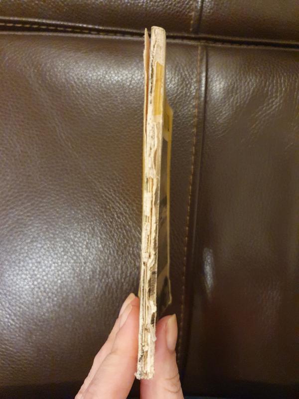 Merkiu - J. Obelienius, knyga 5