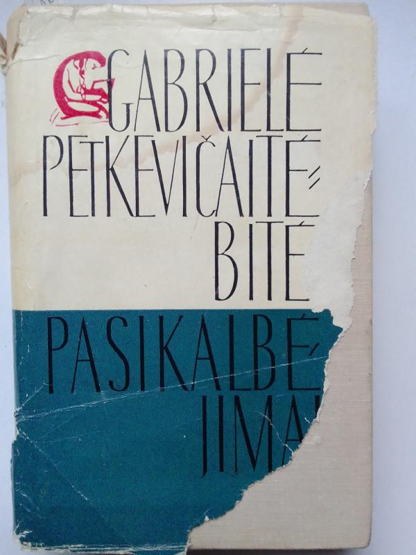 Pasikalbėjimai - Gabrielė Petkevičaitė-Bitė, knyga 2