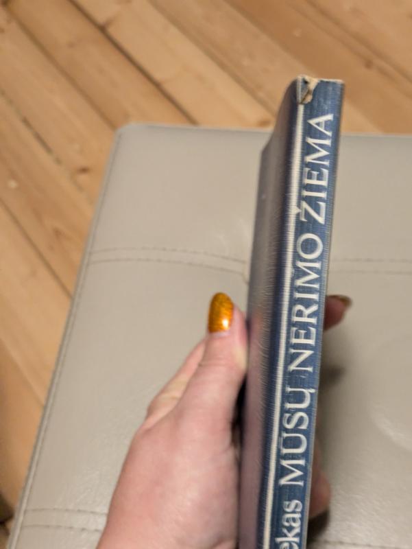 Mūsų nerimo žiema - John Steinbeck, knyga 3