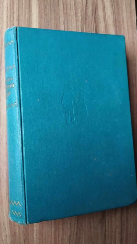 Grumtynės žygyje - Galina Nikolajeva, knyga 2