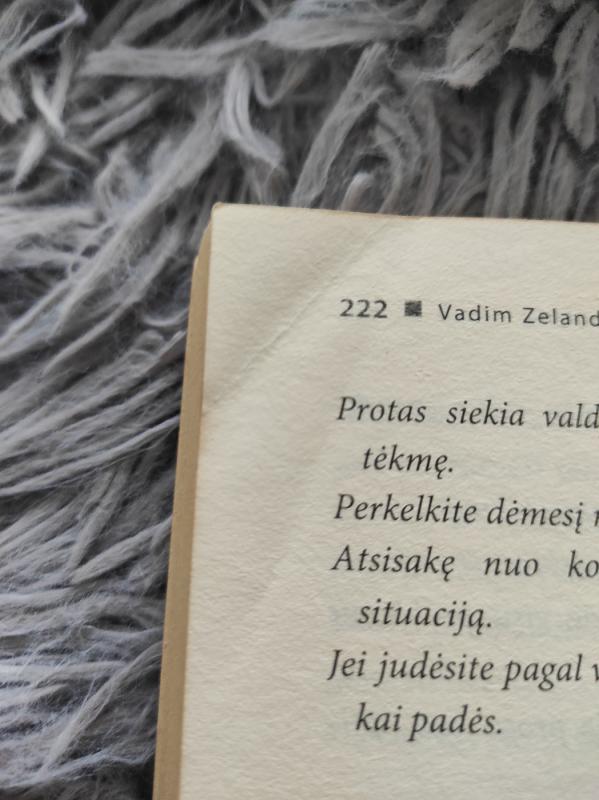 Likimo valdymo galimybės. Transerfingas. I pakopa: variantų erdvė - Vadim Zeland, knyga 3