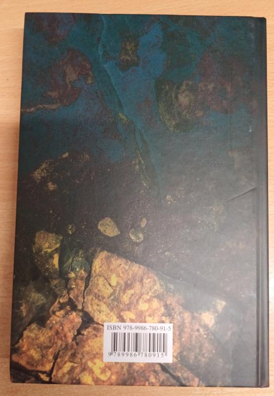 Lietuvos Didžiosios Kunigaikštystės istorijos šaltiniai. Faktas. Kontekstas. Interpretacija - Autorių Kolektyvas, knyga 3