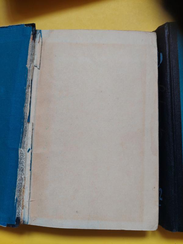 Genijus (2 knygos) - T. Dreizeris, knyga 3