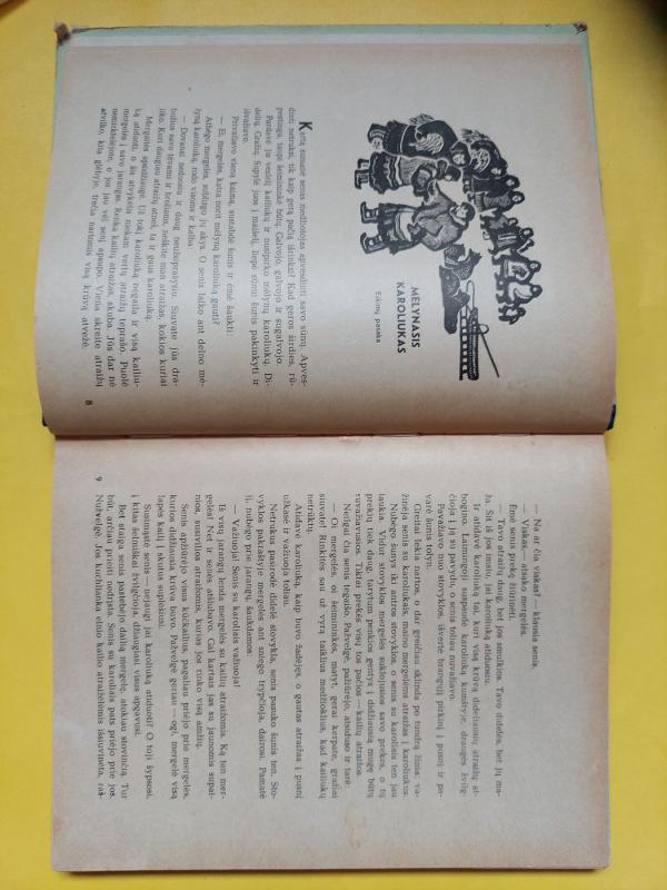 Šiaurės šalių pasakos. Gervės plunksna - Autorių Kolektyvas, knyga 5