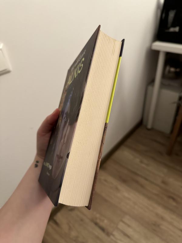 Alkis - Michael Grant, knyga 3