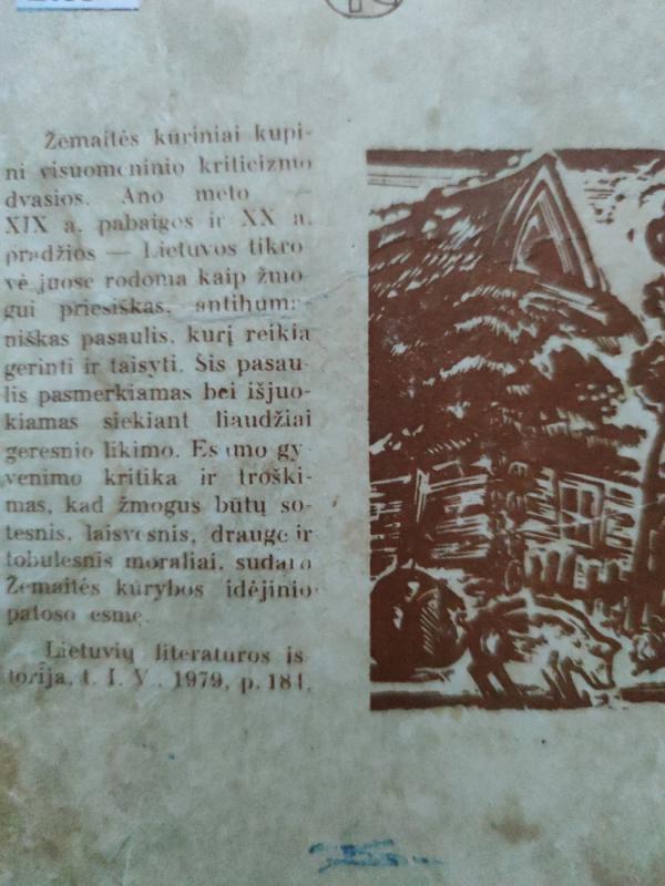 Marti apsakymai komedija - Žemaitė, knyga 5