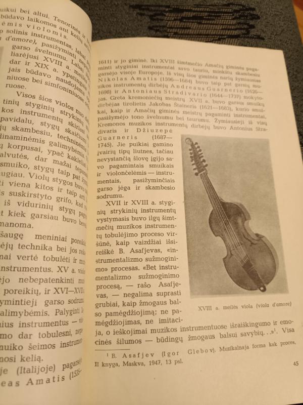 Pažinkime muzikos instrumentus - Stasys Yla, knyga 2