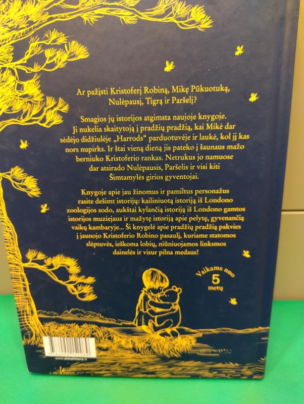 Kadaise gyveno meškiukas - Jane Riordan, knyga 4