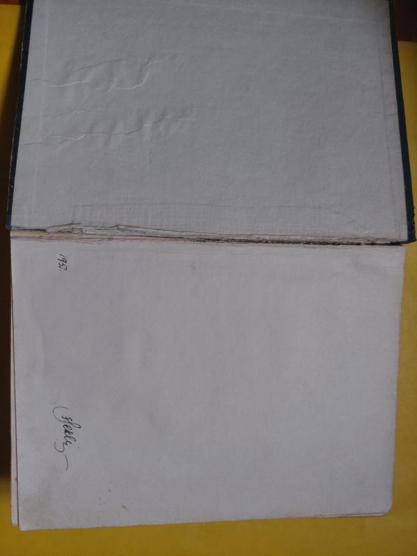 Genijus - T. Dreiser, knyga 5