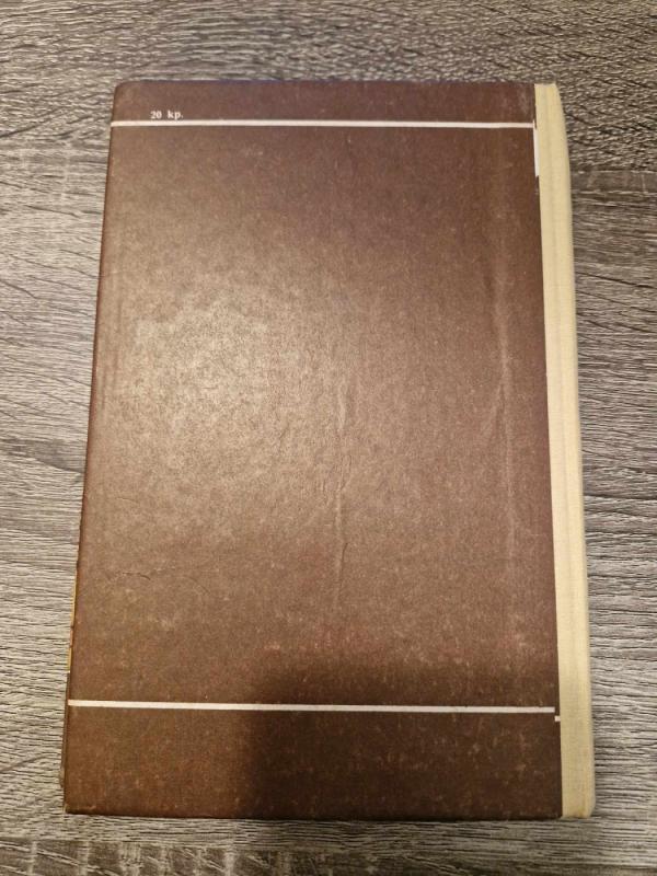 Russkij Jazyk 11 - Aloyzas Gudavičius, Aloyzas Gudavičius, Gintautas Šarka, knyga 6