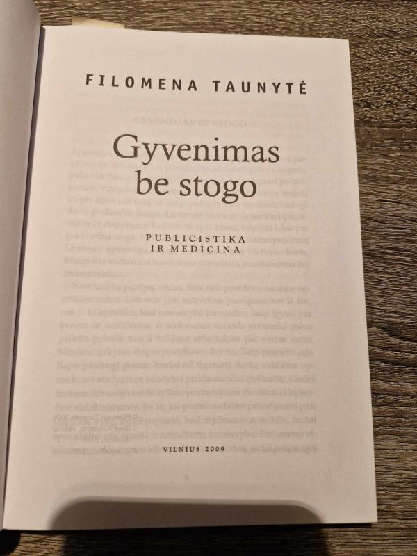 Gyvenimas be stogo - Filomena Taunytė, knyga 3