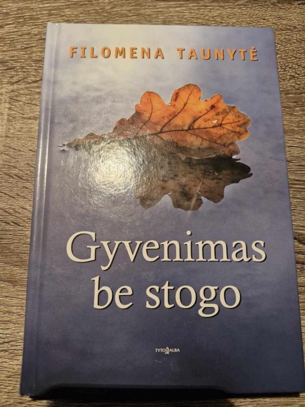 Gyvenimas be stogo - Filomena Taunytė, knyga 2
