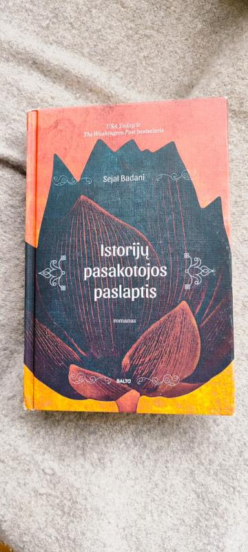 Istorijų pasakotojos paslaptis - Sejal Badani, knyga 2