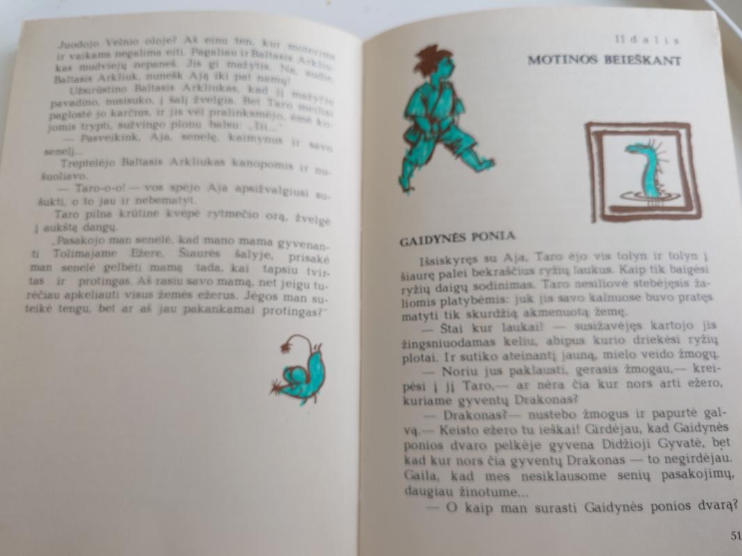 Taro nuotykiai kalnų šalyje - Mijoko Macutani, knyga 6