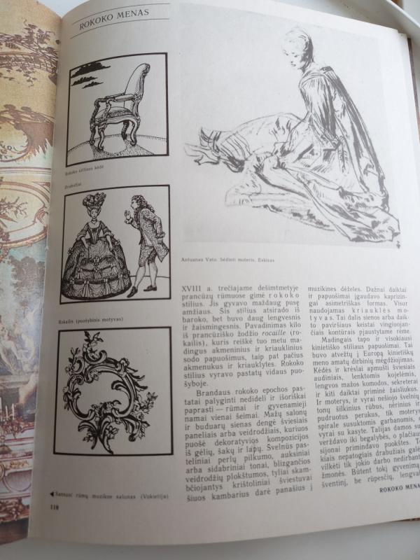 Jaunimui apie meną - Tiju Vijrand, knyga 5