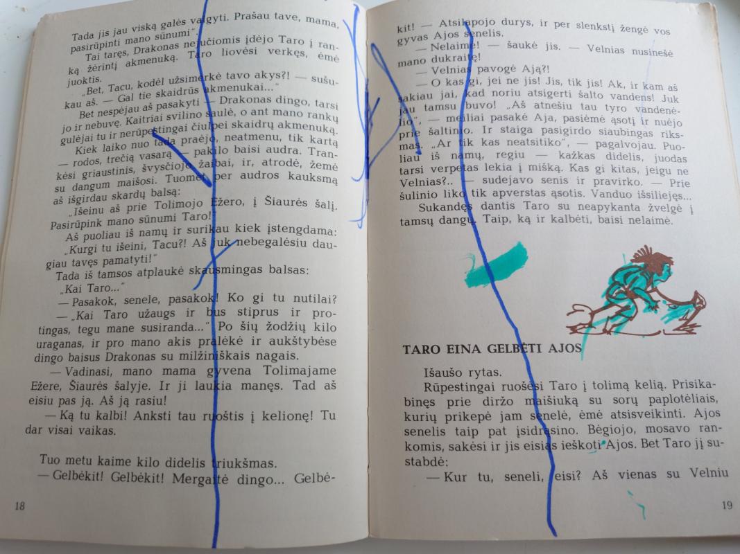 Taro nuotykiai kalnų šalyje - Mijoko Macutani, knyga 5