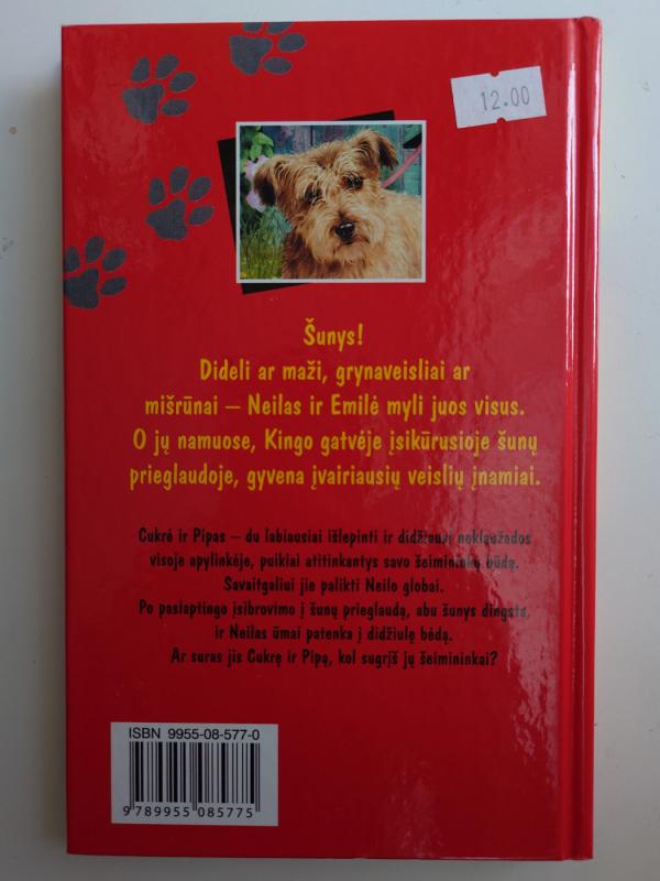 Du neklaužados - Jenny Dale, knyga 3