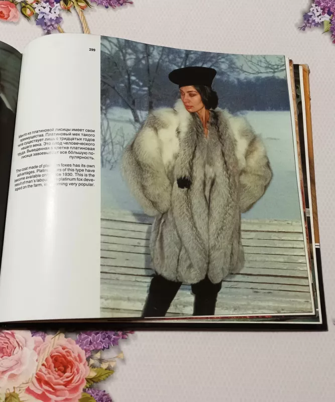 Miechovaja raduga - A. G. Rogožkin, knyga 5