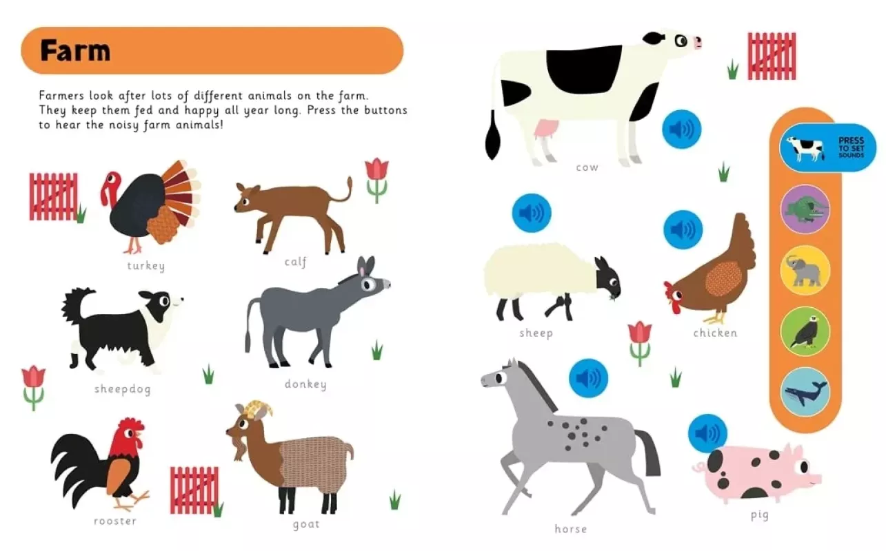 "My First Animals", 12+ mėn. - Sue Downing, Willow Green, Darcie Abraham, Rebecca Kealy, knyga 4