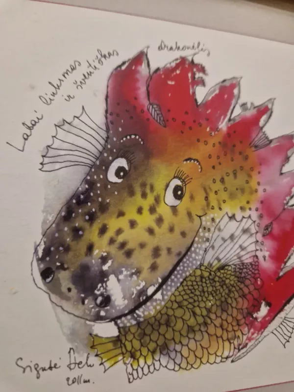 Sigutė Ach Drakoniukas - , namai ir interjeras 2