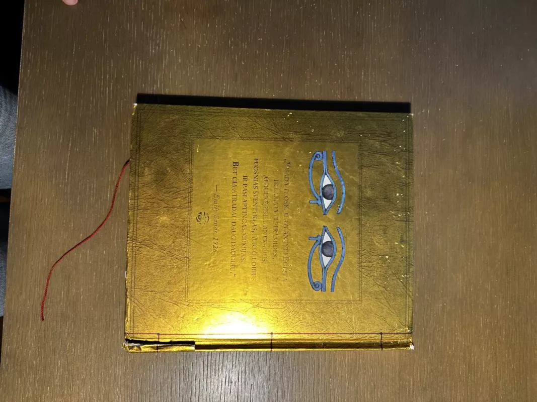 Egiptologija - Emily Sands, knyga 4