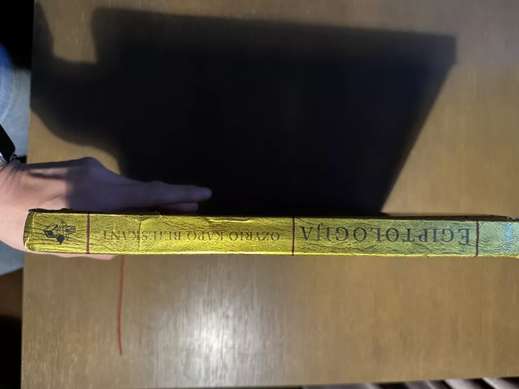 Egiptologija - Emily Sands, knyga 6