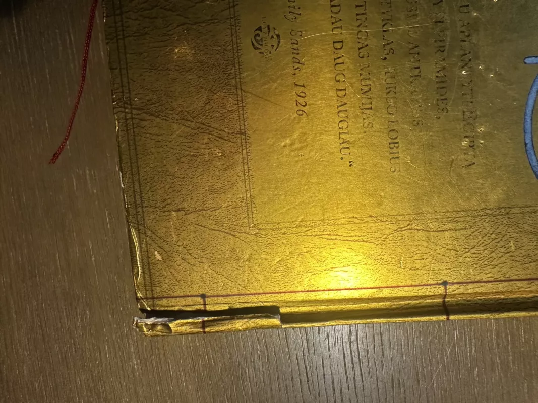 Egiptologija - Emily Sands, knyga 3