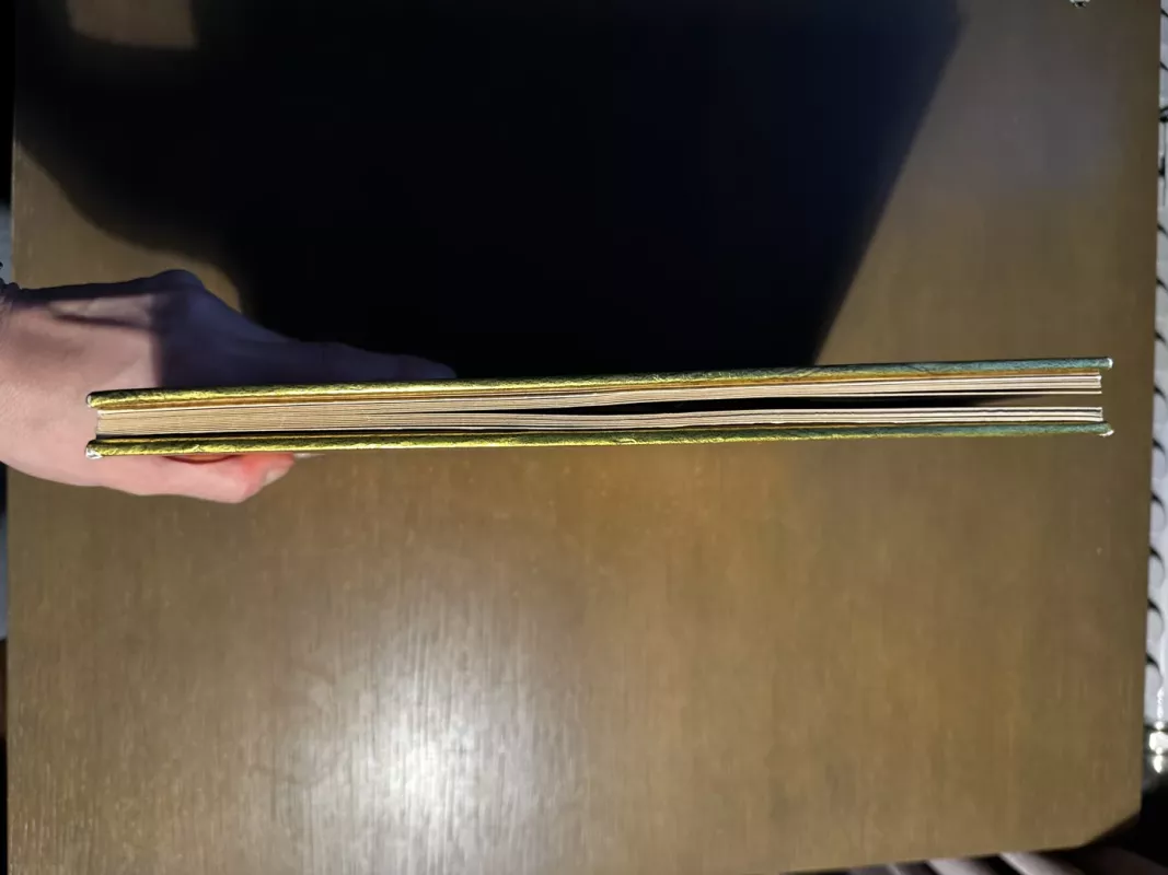 Egiptologija - Emily Sands, knyga 5