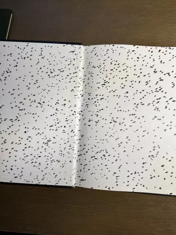 Pavasario mergaitės - Romualdas Rakauskas, knyga 3