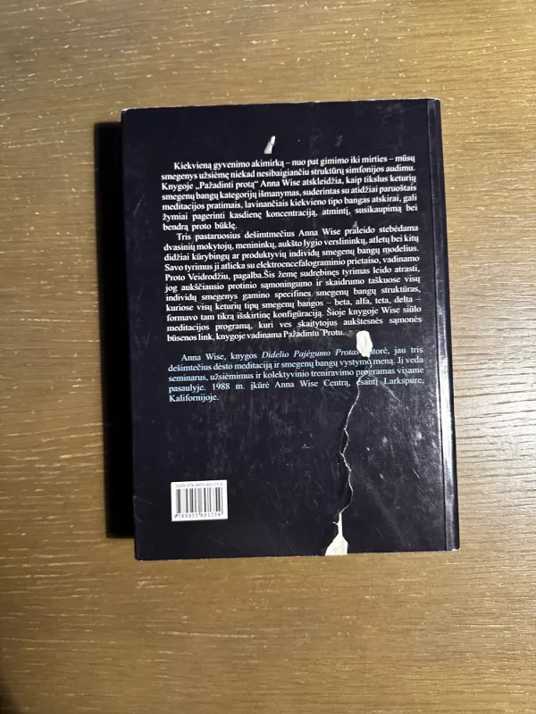 Pažadinti protą - Anna Wise, knyga 4