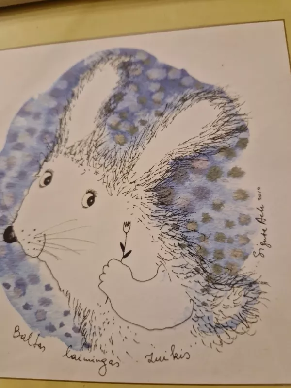 Sigutė Ach Drakoniukas - , namai ir interjeras 6