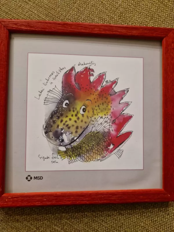 Sigutė Ach Drakoniukas - , namai ir interjeras 3