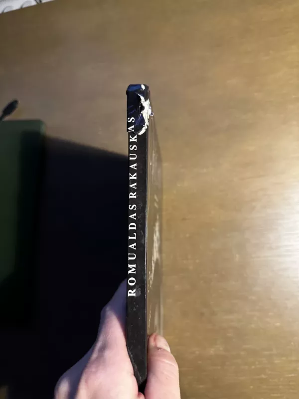 Pavasario mergaitės - Romualdas Rakauskas, knyga 6