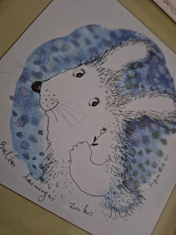 Zuikis Sigutė Ach - , namai ir interjeras 3