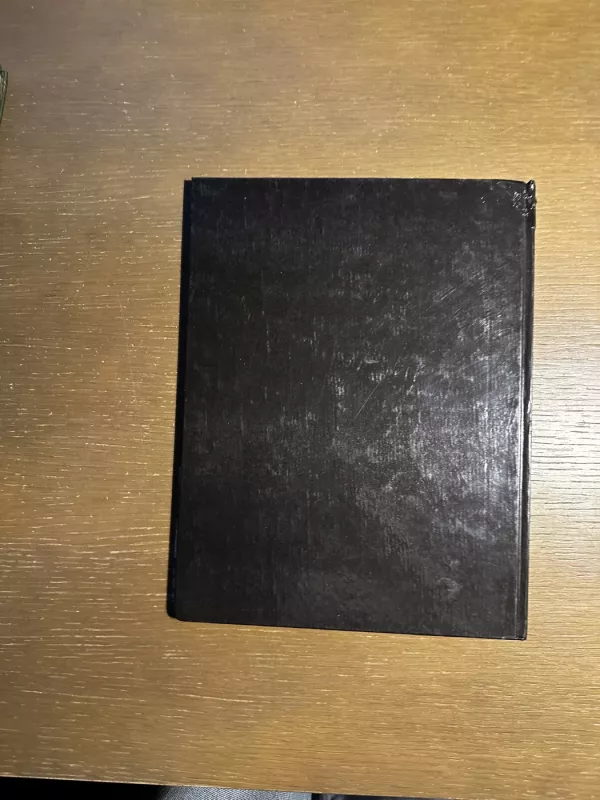 Pavasario mergaitės - Romualdas Rakauskas, knyga 5