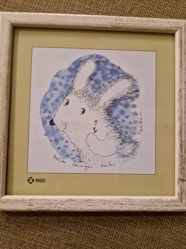 Sigutė Ach Drakoniukas - , namai ir interjeras 5