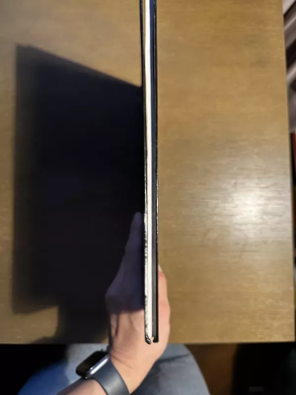 Pavasario mergaitės - Romualdas Rakauskas, knyga 4