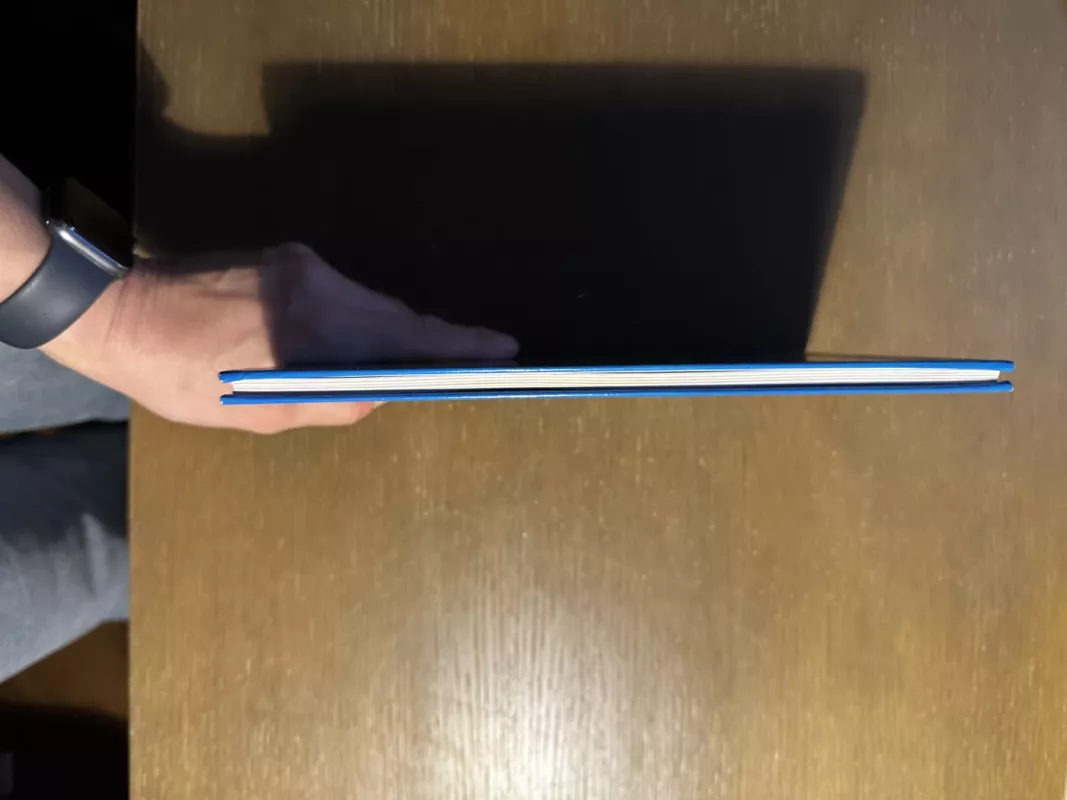 Aš-Donaldas - Walt Disney, knyga 5