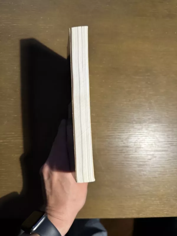 Lietuvių dailė 1975-1995 - Alfonsas Andriuškevičius, knyga 3