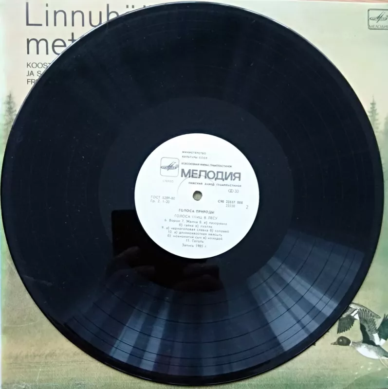 Paukščių balsai miške - Estijos radijas, plokštelė