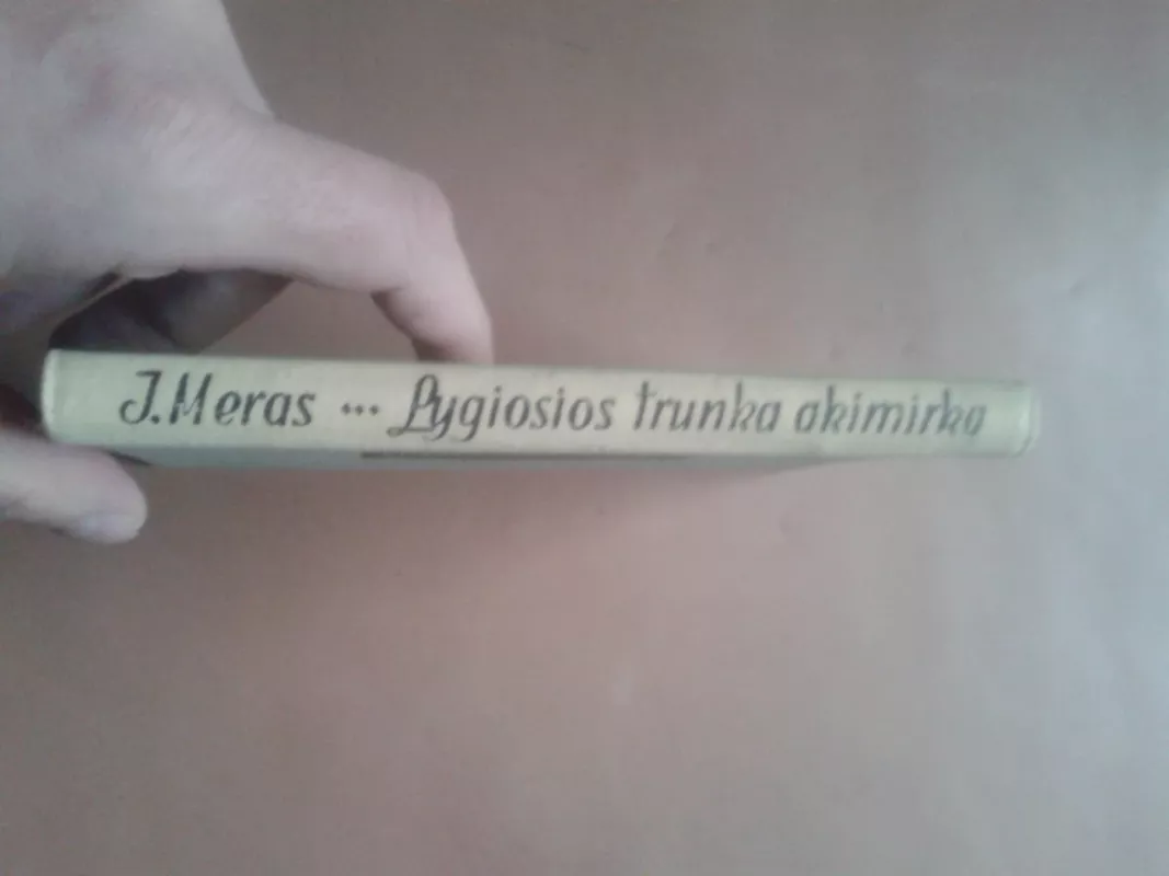 Lygiosios trunka akimirką - Icchokas Meras, knyga 3