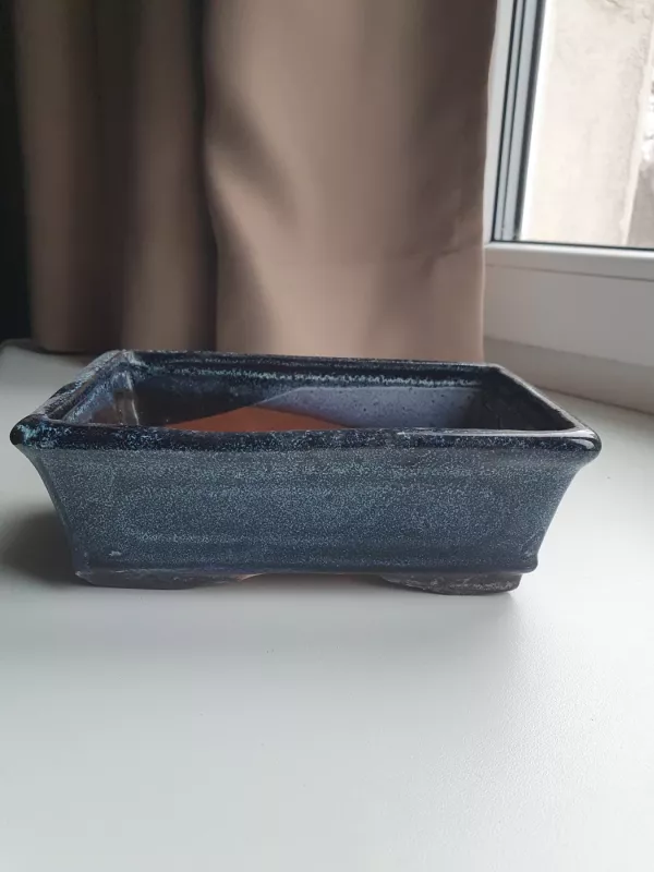 Molinis glazūruotas vazonas be lėkštutės - , namai ir interjeras 2