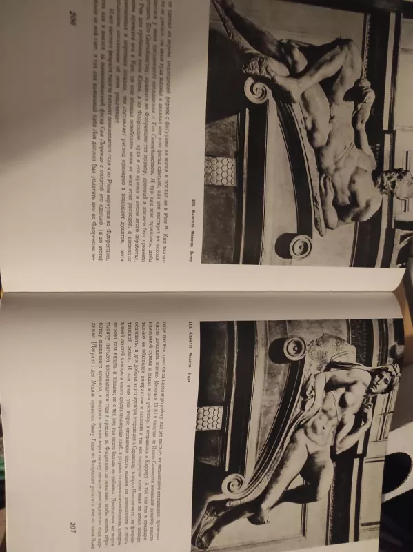 Mikelandzelo 1964m ( albumas /knyga) - AUTORIAI ĮVAIRŪS, knyga 3