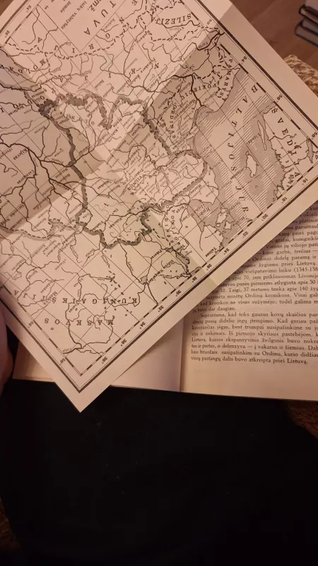 Kęstutis - Antanas Kučinskas, knyga 4