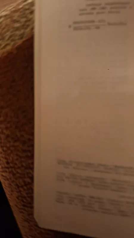 Kęstutis - Antanas Kučinskas, knyga 3