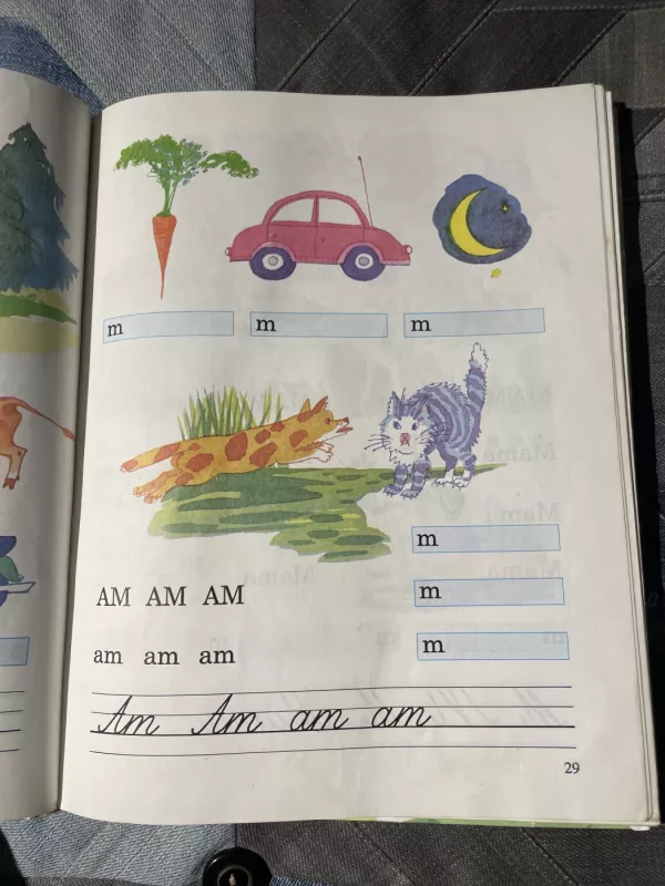 Aušrelė - Juozas Danilavičius, knyga 5