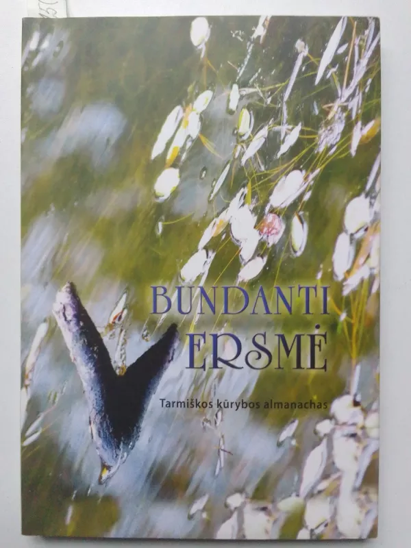 Bundanti versmė - Gaudentas Kurila, knyga 2