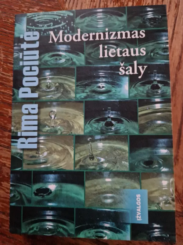 Modernizmas lietaus šaly - Rima Pociūtė, knyga 2