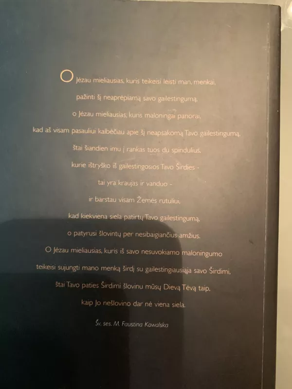 Dienoraštis. Dievo gailestingumas mano sieloje - Faustina Kovalska, knyga 4